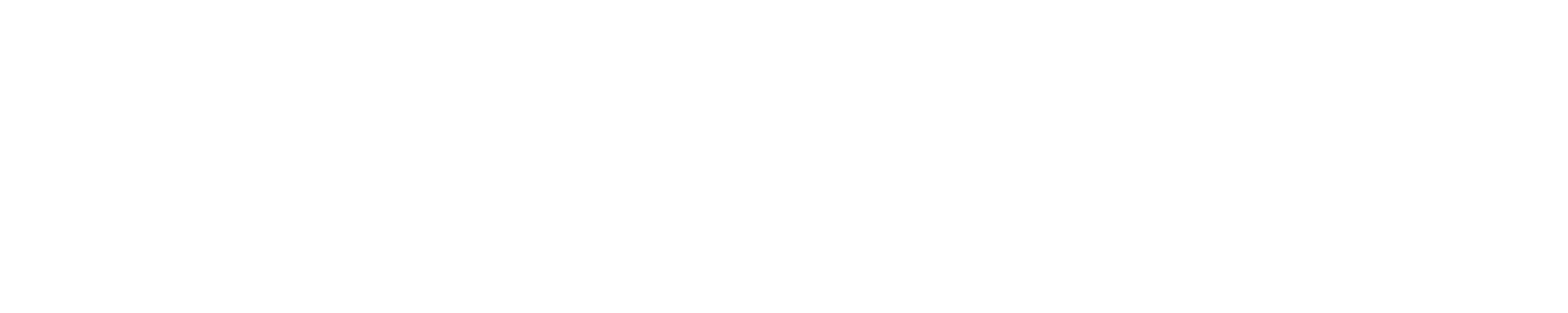 Codexloopers