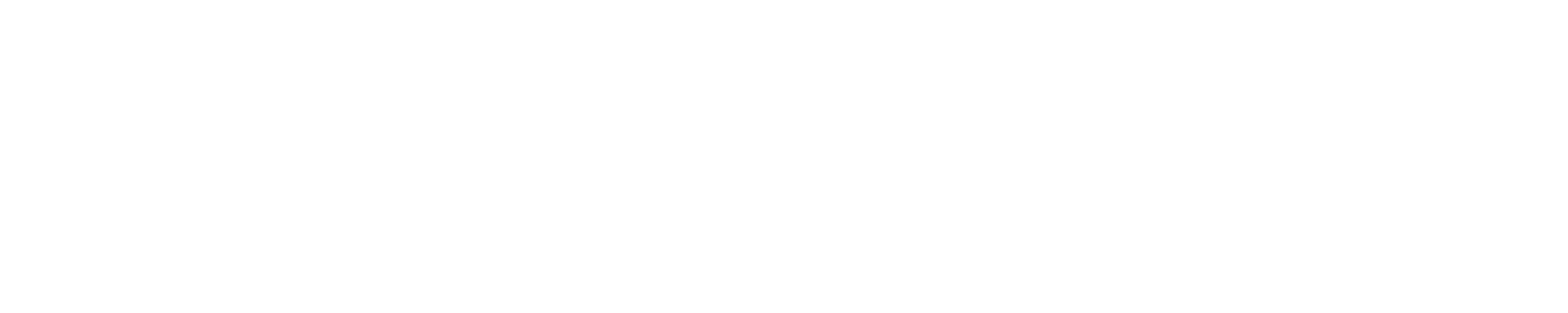 Codexloopers