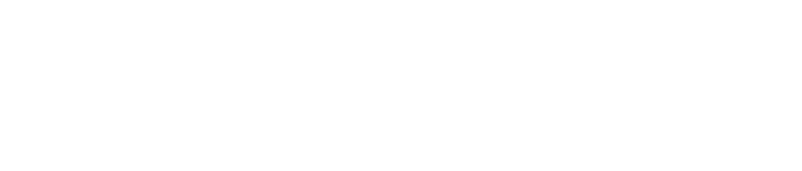 Codexloopers
